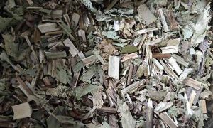 乌海中医专长医师资格证报考条件和时间