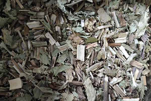 乌海中医专长医师资格证报考条件和时间