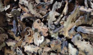 太原中医专长医师