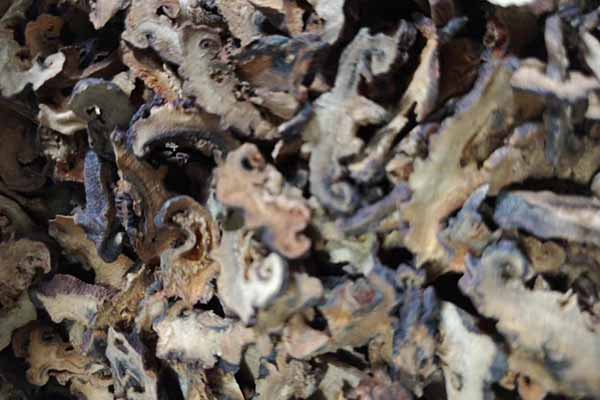 太原中医专长医师