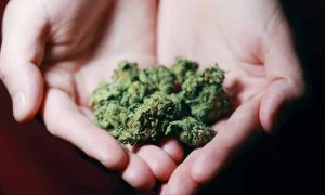 丽水中医专长医师资格证报考条件和时间