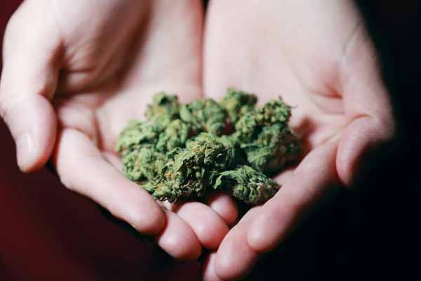 丽水中医专长医师资格证报考条件和时间