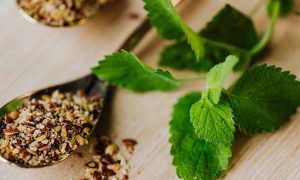 绍兴中医专长医师资格证报考条件和时间