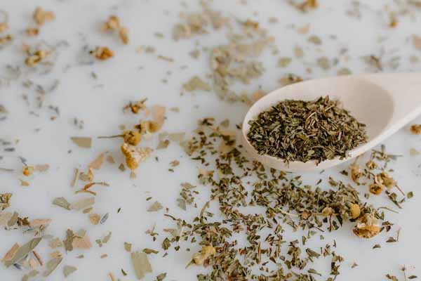 苏州中医专长医师资格证报考条件和时间