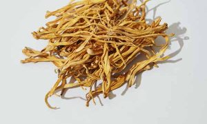 厦门中医专长医师资格证报考条件和时间