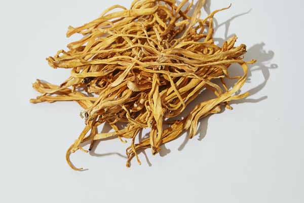 厦门中医专长医师资格证报考条件和时间