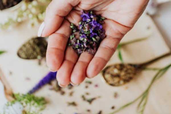 聊城中医专长医师资格证报考条件和时间