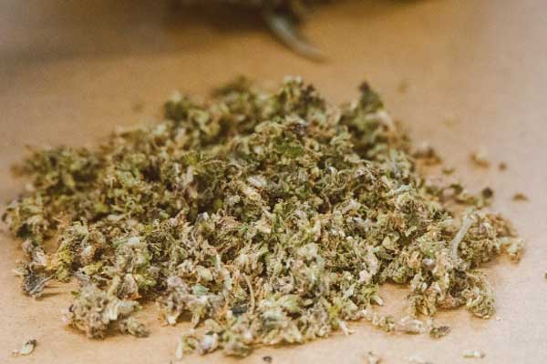 滨州中医专长医师资格证报考条件和时间