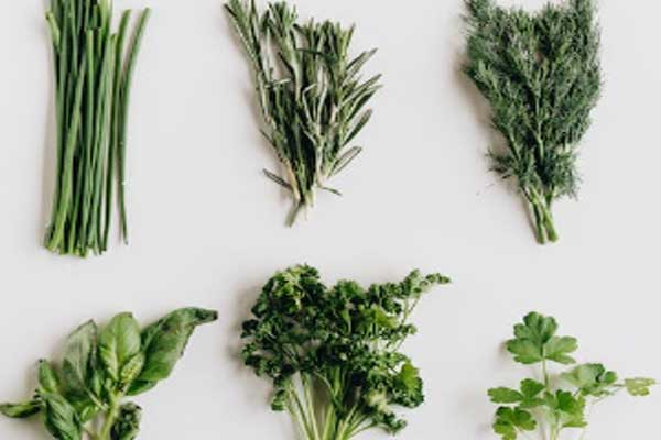 台州中医专长医师资格证报考条件和时间