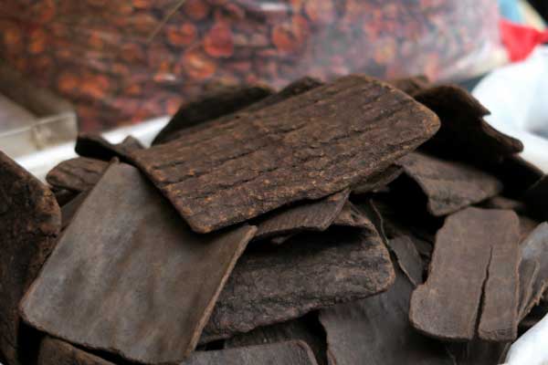 济宁中医专长医师资格证报考条件和时间