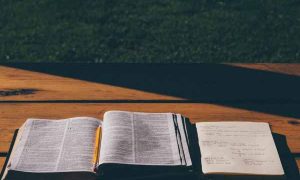 上海考研培训辅导班哪个好