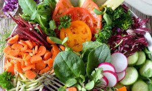 高级公共营养师报考条件