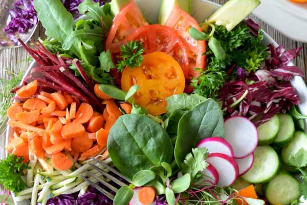 高级公共营养师报考条件