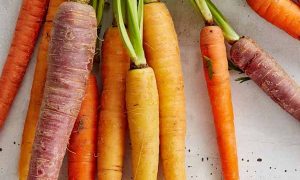 公共营养师报名条件