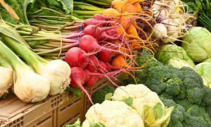 公共营养师分为四个等级，分别是四级（中级）、三级（高级）、二级（技师） 和 一级（高级技师）。每个等级的报考条件包括学历、工作年限和培训学时数都有所不同。因此，考生在报考前详细了解当地的政策和要求，选择适合自己的等级进行报考，并确保自己满足相应的报考条件。 一、公共营养师有用吗 公共营养师是一个专门从事公共营养事业的职业，在如今的健康饮食的重要性日益凸显的背景下，公共营养师的角色变得越来越重要。他们通过提供专业的营养咨询和指导，帮助人们养成良好的饮食习惯，提高整体健康水平，预防疾病的发生。公共营养师的存在和服务对社会的健康和福祉具有重要影响。 公共营养师有什么用： 1、提升职业竞争力：拥有公共营养师资格证书可以证明持证者具有一定的营养知识和专业能力，可以提升其在行业内的竞争力。 2、拓宽职业发展道路：持有公共营养师资格证书可以从事相关的职业，如食品行业、医疗行业、保健品行业等，拓宽职业发展道路。 3、保障消费者权益：公共营养师资格证书是对持证者从事营养行业工作的一种认证，有助于消费者选择优质、专业的营养服务，保障消费者权益。 4、增加职业信任度：持有公共营养师资格证书可以增加个人在职业内的信任度和公信力，提高顾客和雇主对自己的信任度。 二、公共营养师考试 1、报考条件 要成为一名合格的公共营养师，需要具备一定的条件。一般来说，报考者需要具备相关健康管理、食品与营养学等方面的基础知识，并且要通过相关考试来获取相关证书。具体的报考条件如下： （1）连续从事本职业工作6年以上。 （2）取得四级公共营养师证书后，连续从事本职业工作4年以上。 （3）取得四级公共营养师证书后，连续从事本职业工作3年以上，经三级公共营养师正规培训，达标准学时数，并取得结业证书。 （4）具有医学或食品专业大学专科及以上学历证书。 （5）具有非医学或食品专业大学专科及以上学历证书，连续从事本职业工作1年以上。 （6）具有非医学或食品专业大学专科及以上学历证书，经三级公共营养师正规培训达规定标准学时数，并取得结业证书。 以上是公共营养师报考的一般条件，具体要求可能会有所不同。如果您有意向报考公共营养师职业资格证，请向相关培训学校咨询具体的报考要求和流程。 2、报考时间 公共营养师考试时间一般是在3月、6月、9月、12月的中下旬，报名时间一般在考试前1个月左右，也就是2月、5月、8月、11月左右，具体要看当地安排，请随时关注官网信息，需要报考者提前了解并准备，考生可以根据自己的情况合理安排时间进行备考。 3、报名入口 公共营养师并没有统一的报名入口官网，公共营养师报名通常是通过培训机构或学校报名，网上是没有个人端口的，需要经过机构培训，由机构报名才能参加考试，考生可以选择到专业的机构备考，在报名时，考生需要填写相关信息并缴纳报名费用。 三、公共营养师培训 1、机构哪家好 选择公共营养师培训班，选择一家好的机构进行公共营养师培训对于学习成果的提高至关重要。优路教育培训机构还是比较好的，优路教育培训机构在全国知名度都是比较高的，具有一支优秀的教师团队，每个教师的教学经验丰富，具有完整的教学课程体系，根据学员自身情况制定学习方案，有效的提高学员的学习效率，在考试中能够顺利通过考试，从而获得资格证书，是可以信赖得机构。 2、培训内容 公共营养师培训内容包括理论知识和技能考核。理论知识考试主要包括职业道德、医学基础知识、营养学基础知识、各类人群营养知识、食物营养与食品安全、公共营养基础理论和方法、营养教育和健康促进、相关法律法规标准知识。培训的目的是为了让考生掌握专业的知识和技能，为今后从事公共营养师工作做好准备。 3、学期学费 对于公共营养师培训而言，学期学费是考生很关心的一个方面。学期学费一般根据机构和培训内容的不同而有所差异。优路教育公共营养师的培训费用还是比较合理的，费用价格也不算高，一般在几千元左右，考生在选择时要综合考虑学费与培训质量，选择适合自己的培训班。 通过以上的介绍，我们可以了解到公共营养师培训班费用多少钱，公共营养师的重要性以及相关考试和培训的一些基本情况。考生在选择报考和培训时，应该充分了解相关信息，选择合适的机构和培训班，以提高自己的专业水平和竞争力。