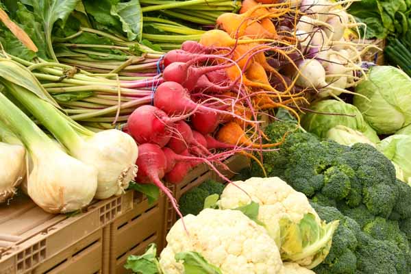 公共营养师分为四个等级，分别是四级（中级）、三级（高级）、二级（技师） 和 一级（高级技师）。每个等级的报考条件包括学历、工作年限和培训学时数都有所不同。因此，考生在报考前详细了解当地的政策和要求，选择适合自己的等级进行报考，并确保自己满足相应的报考条件。

一、公共营养师有用吗

公共营养师是一个专门从事公共营养事业的职业，在如今的健康饮食的重要性日益凸显的背景下，公共营养师的角色变得越来越重要。他们通过提供专业的营养咨询和指导，帮助人们养成良好的饮食习惯，提高整体健康水平，预防疾病的发生。公共营养师的存在和服务对社会的健康和福祉具有重要影响。

公共营养师有什么用：

1、提升职业竞争力：拥有公共营养师资格证书可以证明持证者具有一定的营养知识和专业能力，可以提升其在行业内的竞争力。

2、拓宽职业发展道路：持有公共营养师资格证书可以从事相关的职业，如食品行业、医疗行业、保健品行业等，拓宽职业发展道路。

3、保障消费者权益：公共营养师资格证书是对持证者从事营养行业工作的一种认证，有助于消费者选择优质、专业的营养服务，保障消费者权益。

4、增加职业信任度：持有公共营养师资格证书可以增加个人在职业内的信任度和公信力，提高顾客和雇主对自己的信任度。

二、公共营养师考试

1、报考条件

要成为一名合格的公共营养师，需要具备一定的条件。一般来说，报考者需要具备相关健康管理、食品与营养学等方面的基础知识，并且要通过相关考试来获取相关证书。具体的报考条件如下：

（1）连续从事本职业工作6年以上。

（2）取得四级公共营养师证书后，连续从事本职业工作4年以上。

（3）取得四级公共营养师证书后，连续从事本职业工作3年以上，经三级公共营养师正规培训，达标准学时数，并取得结业证书。

（4）具有医学或食品专业大学专科及以上学历证书。

（5）具有非医学或食品专业大学专科及以上学历证书，连续从事本职业工作1年以上。

（6）具有非医学或食品专业大学专科及以上学历证书，经三级公共营养师正规培训达规定标准学时数，并取得结业证书。

以上是公共营养师报考的一般条件，具体要求可能会有所不同。如果您有意向报考公共营养师职业资格证，请向相关培训学校咨询具体的报考要求和流程。

2、报考时间

公共营养师考试时间一般是在3月、6月、9月、12月的中下旬，报名时间一般在考试前1个月左右，也就是2月、5月、8月、11月左右，具体要看当地安排，请随时关注官网信息，需要报考者提前了解并准备，考生可以根据自己的情况合理安排时间进行备考。

3、报名入口

公共营养师并没有统一的报名入口官网，公共营养师报名通常是通过培训机构或学校报名，网上是没有个人端口的，需要经过机构培训，由机构报名才能参加考试，考生可以选择到专业的机构备考，在报名时，考生需要填写相关信息并缴纳报名费用。

三、公共营养师培训

1、机构哪家好

选择公共营养师培训班，选择一家好的机构进行公共营养师培训对于学习成果的提高至关重要。优路教育培训机构还是比较好的，优路教育培训机构在全国知名度都是比较高的，具有一支优秀的教师团队，每个教师的教学经验丰富，具有完整的教学课程体系，根据学员自身情况制定学习方案，有效的提高学员的学习效率，在考试中能够顺利通过考试，从而获得资格证书，是可以信赖得机构。

2、培训内容

公共营养师培训内容包括理论知识和技能考核。理论知识考试主要包括职业道德、医学基础知识、营养学基础知识、各类人群营养知识、食物营养与食品安全、公共营养基础理论和方法、营养教育和健康促进、相关法律法规标准知识。培训的目的是为了让考生掌握专业的知识和技能，为今后从事公共营养师工作做好准备。

3、学期学费

对于公共营养师培训而言，学期学费是考生很关心的一个方面。学期学费一般根据机构和培训内容的不同而有所差异。优路教育公共营养师的培训费用还是比较合理的，费用价格也不算高，一般在几千元左右，考生在选择时要综合考虑学费与培训质量，选择适合自己的培训班。

通过以上的介绍，我们可以了解到公共营养师培训班费用多少钱，公共营养师的重要性以及相关考试和培训的一些基本情况。考生在选择报考和培训时，应该充分了解相关信息，选择合适的机构和培训班，以提高自己的专业水平和竞争力。