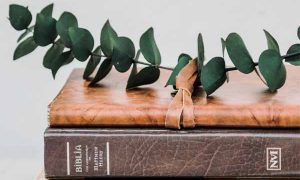 安徽省公务员考试芜湖培训班哪个好？多少钱？