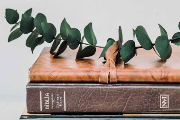 安徽省公务员考试芜湖培训班哪个好?多少钱?