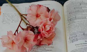 上海考研培训机构价格一览表