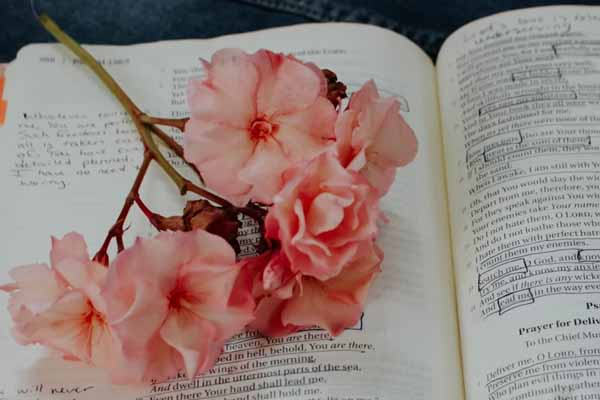 上海考研培训机构价格一览表