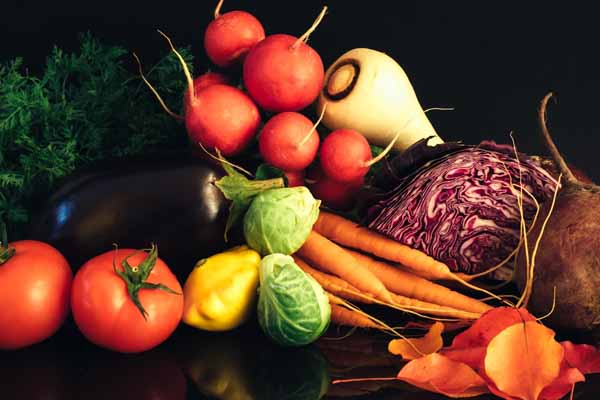 公共营养师报考时间