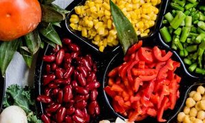 公共营养师查询