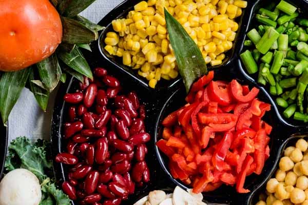 公共营养师查询