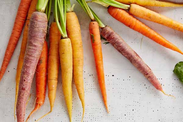 公共营养师和营养师有什么区别