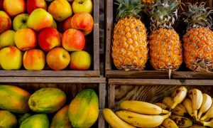 公共营养师是干什么的