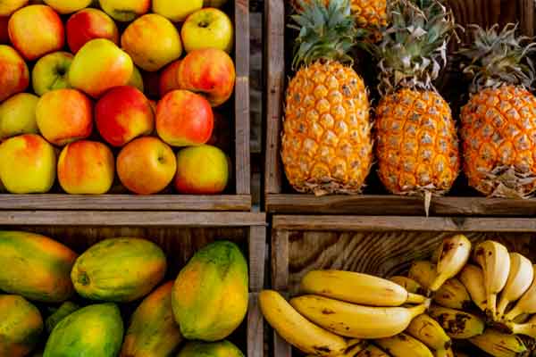 公共营养师是干什么的