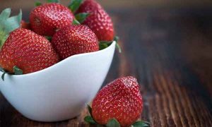 公共营养师怎么报考