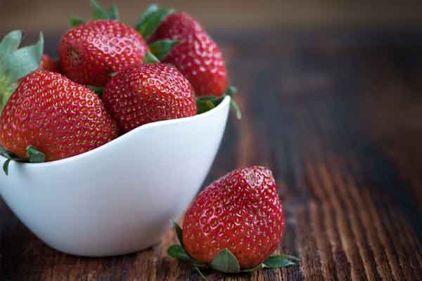 公共营养师怎么报考